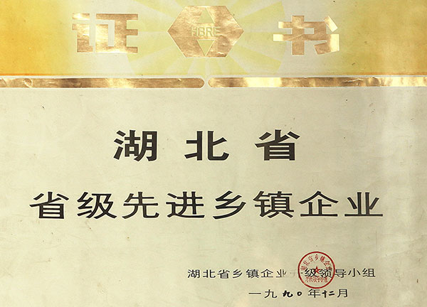 省級先進鄉(xiāng)鎮(zhèn)企業(yè)